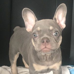 Meet your Posher, Yamilet